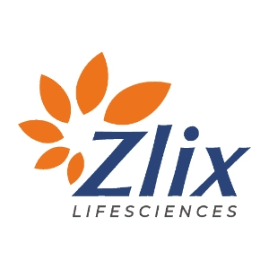 doors and windows logo